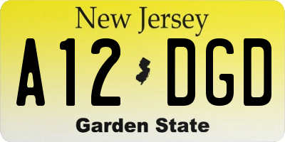 NJ license plate A12DGD