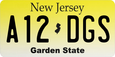 NJ license plate A12DGS