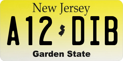 NJ license plate A12DIB
