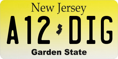 NJ license plate A12DIG