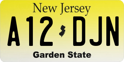 NJ license plate A12DJN