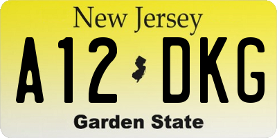 NJ license plate A12DKG
