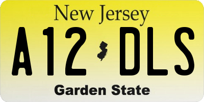 NJ license plate A12DLS