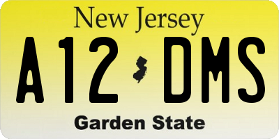 NJ license plate A12DMS