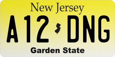 NJ license plate A12DNG