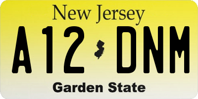 NJ license plate A12DNM