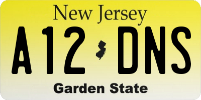 NJ license plate A12DNS