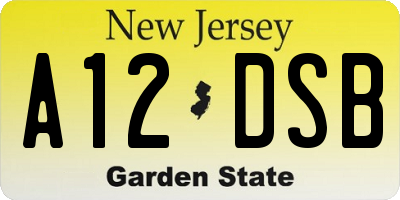 NJ license plate A12DSB