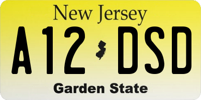 NJ license plate A12DSD