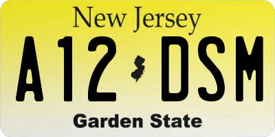NJ license plate A12DSM