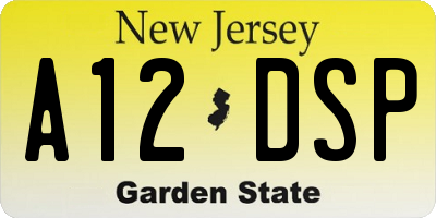 NJ license plate A12DSP