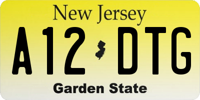 NJ license plate A12DTG