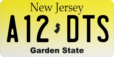 NJ license plate A12DTS