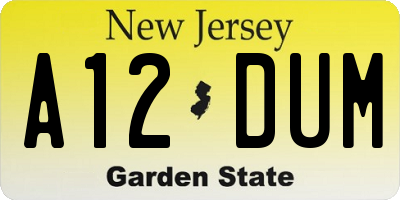 NJ license plate A12DUM