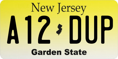 NJ license plate A12DUP