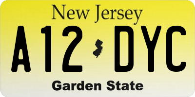 NJ license plate A12DYC