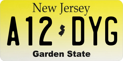 NJ license plate A12DYG