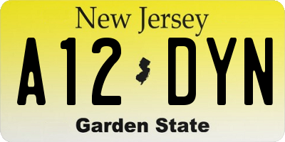 NJ license plate A12DYN