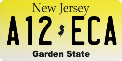 NJ license plate A12ECA