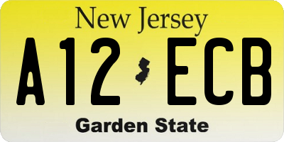 NJ license plate A12ECB