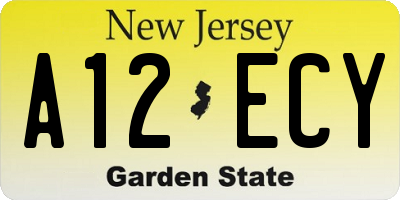 NJ license plate A12ECY