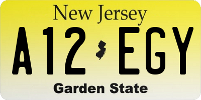NJ license plate A12EGY