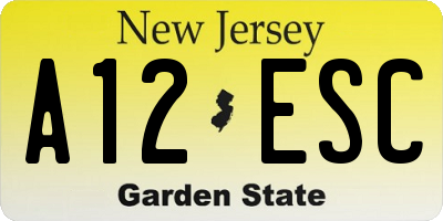 NJ license plate A12ESC