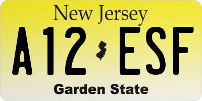 NJ license plate A12ESF