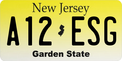 NJ license plate A12ESG