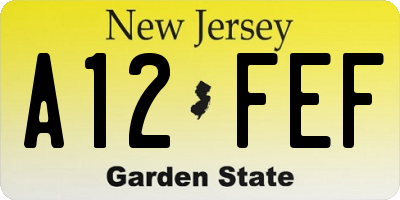 NJ license plate A12FEF