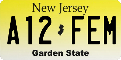 NJ license plate A12FEM