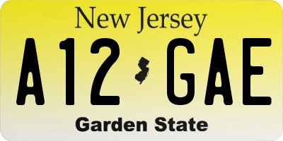 NJ license plate A12GAE