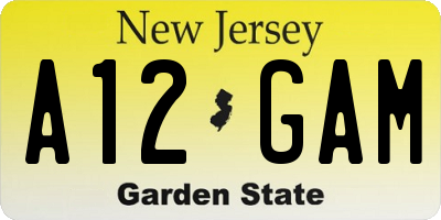 NJ license plate A12GAM