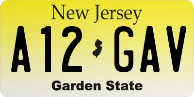NJ license plate A12GAV