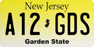 NJ license plate A12GDS