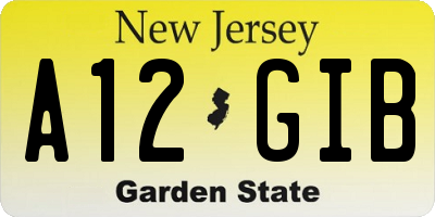 NJ license plate A12GIB