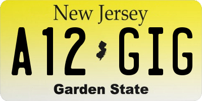 NJ license plate A12GIG