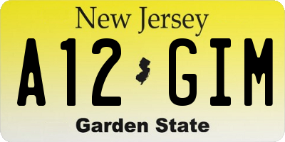 NJ license plate A12GIM