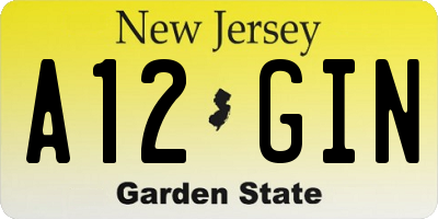 NJ license plate A12GIN