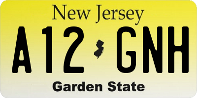 NJ license plate A12GNH