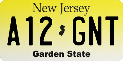 NJ license plate A12GNT
