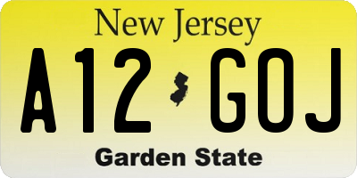 NJ license plate A12GOJ