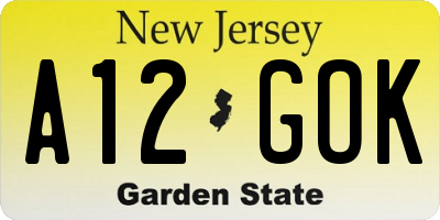 NJ license plate A12GOK