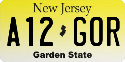 NJ license plate A12GOR