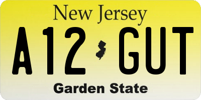 NJ license plate A12GUT