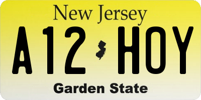 NJ license plate A12HOY