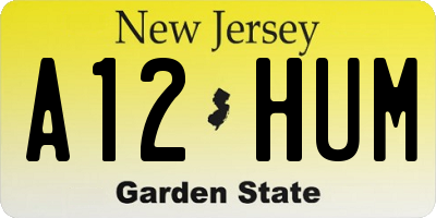 NJ license plate A12HUM