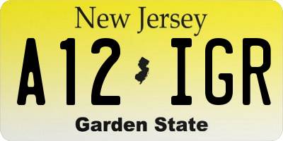 NJ license plate A12IGR