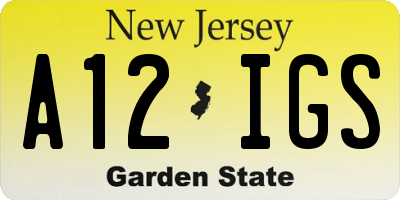 NJ license plate A12IGS