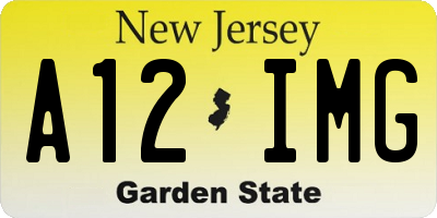 NJ license plate A12IMG